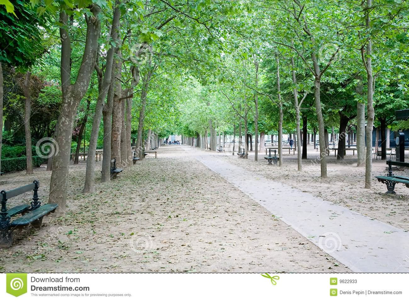 Jardin du Luxembourg View