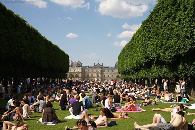 Tourist Enjoying Sunny Day In Jardin du Luxembourg