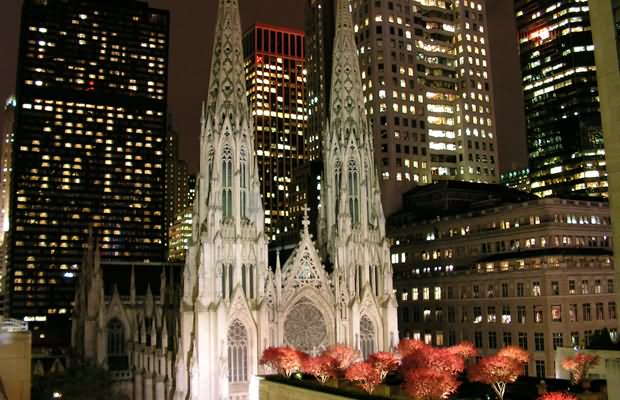 Beautiful Night View Of St. Patrick's Cathedral