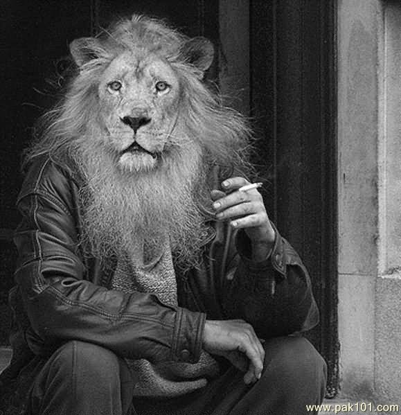 Man With Lion Face Smoking Funny Picture For Facebook