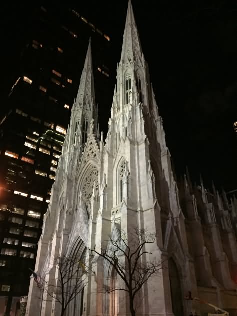 Side View Of St. Patrick's Cathedral Night Picture