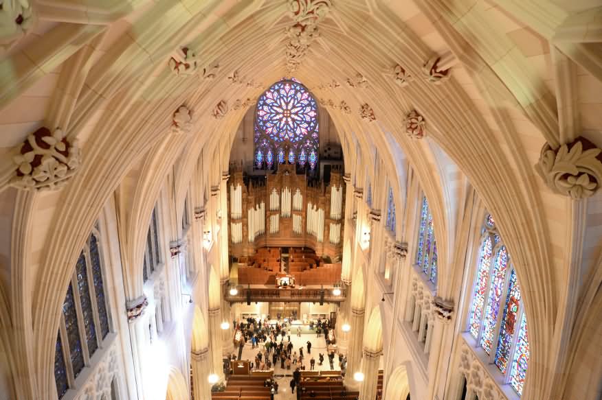 View Of St. Patrick's Cathedral Rose Window