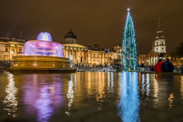 Beautiful LED Fountain And Christmas Tree Illuminated At Trafalgar Square During Night View