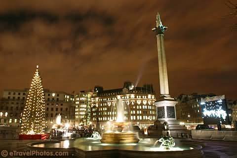 Christmas Tree And Nelson's Column At Trafalgar Square Night Picture