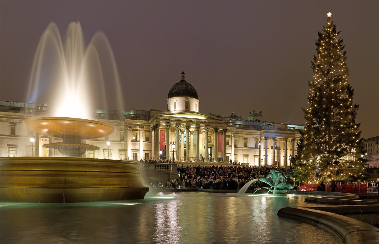 Christmas Tree At Trafalgar Square Night View