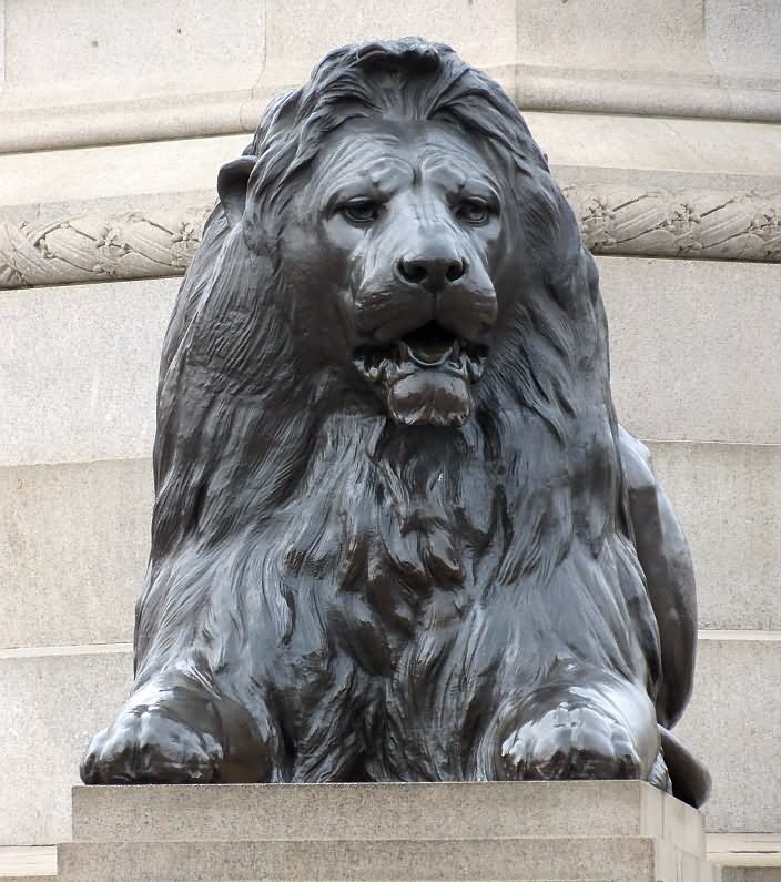 Closeup Of Lion Statue At The Trafalgar Square