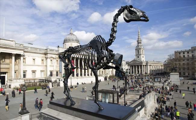 Horse Plinth Statue At The Trafalgar Square