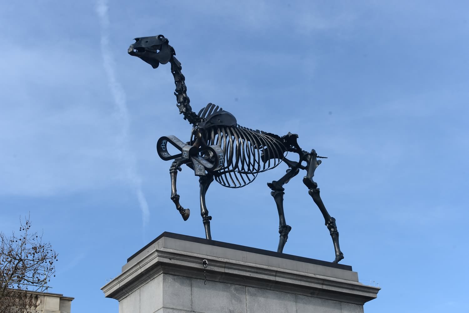 Horse Plinth Statue At Trafalgar Square In London