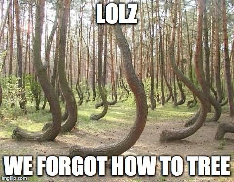 Lolz We Forgot How To Tree Funny Meme Picture