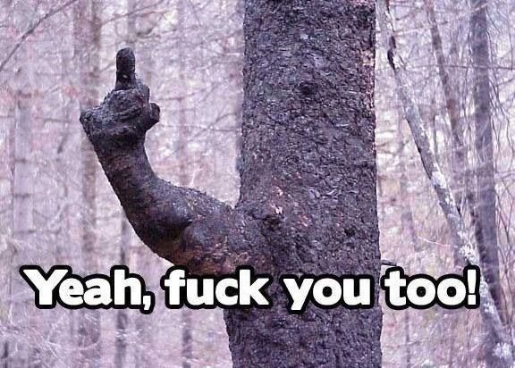 Yeah Fuck You Too Funny Tree Meme Picture