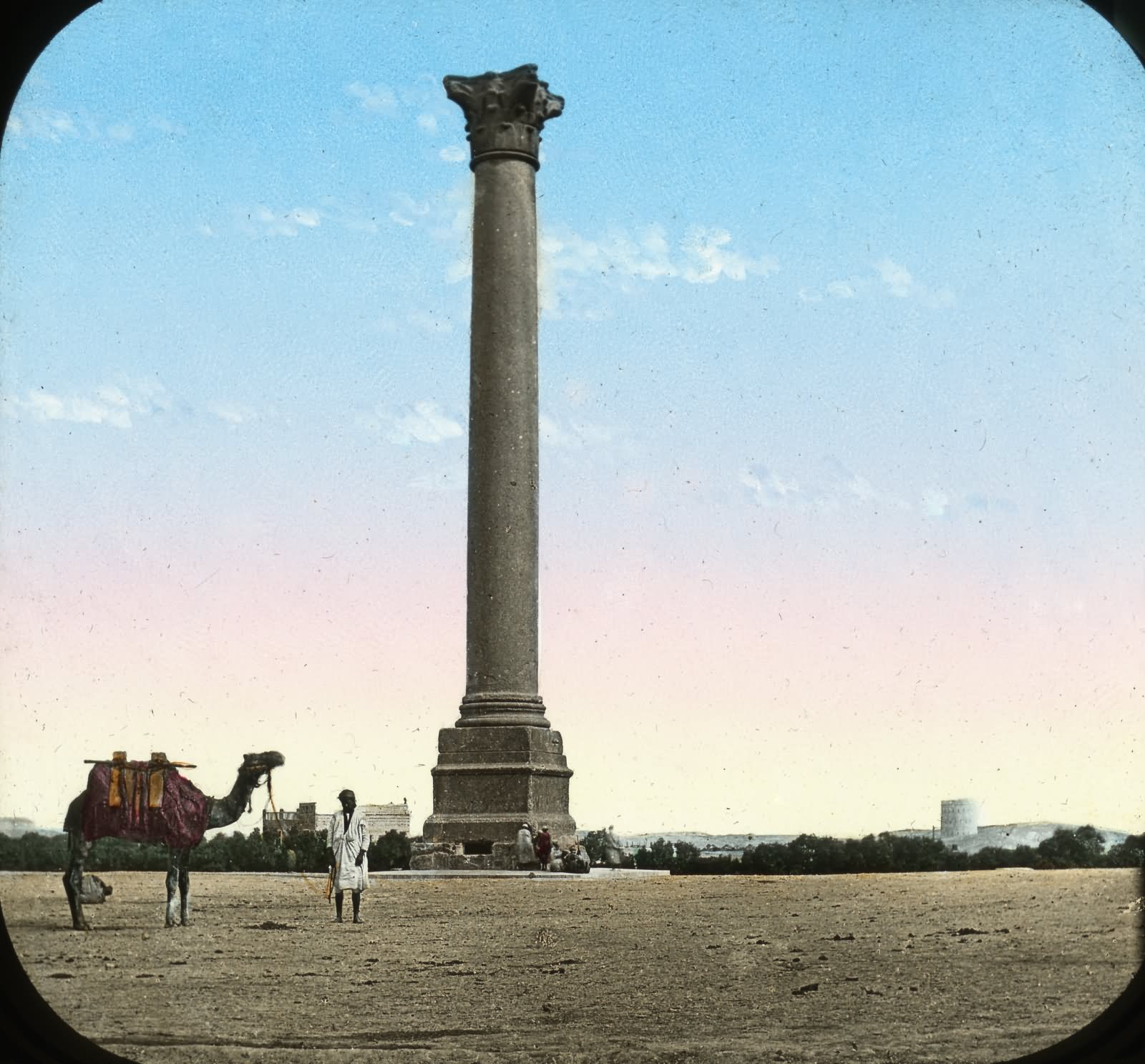 A Man With Camel Standing In Front Of Pompey's Pillar