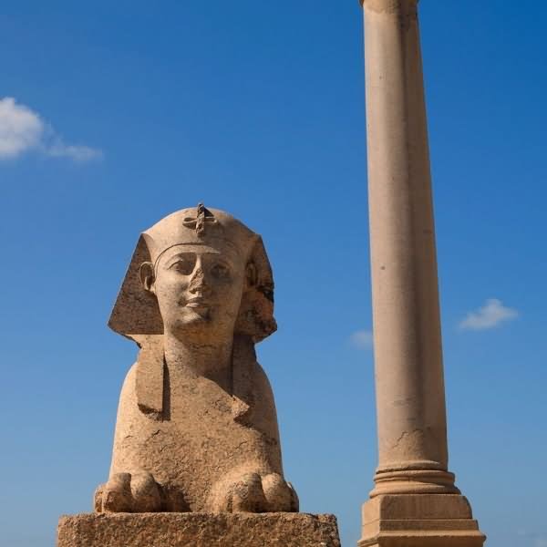 Closeup Of Sphinx And The Pompey's Pillar