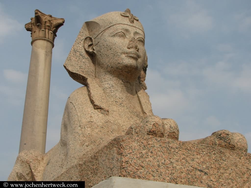 Closeup Of Sphinx Statue And The Pompey's Pillar