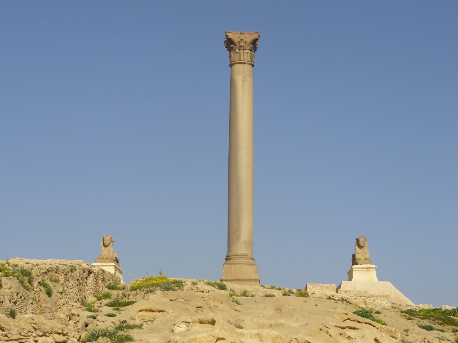 Front View Image Of The Pompey's Pillar And Two Sphinx