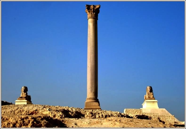 The Pompey's Pillar And Two Sphinx Picture