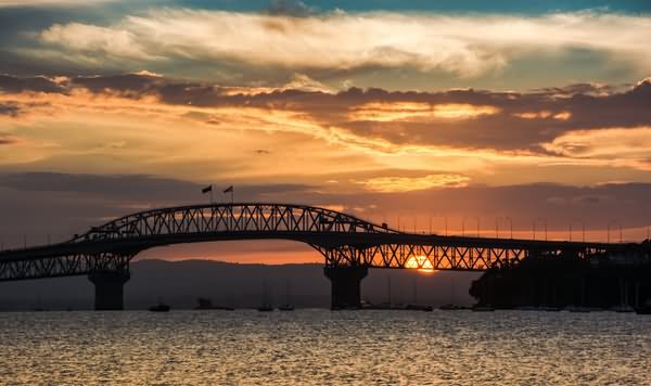 Adorable Night View Of The Auckland Harbour Bridge