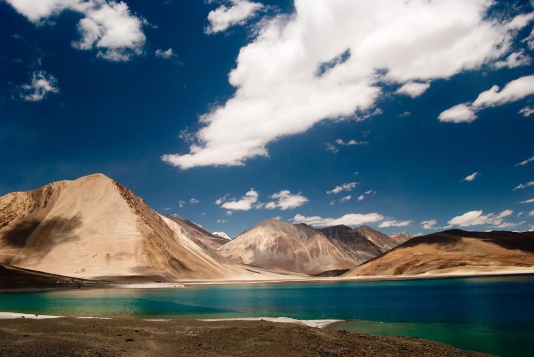 Adorable Picture Of The Pangong Tso