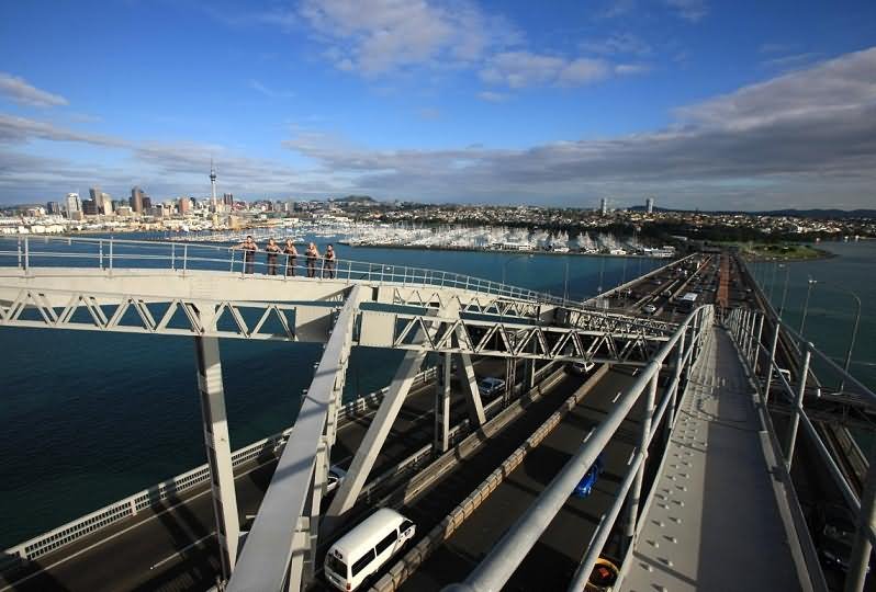 Adorable View Of The Auckland Harbour Bridge