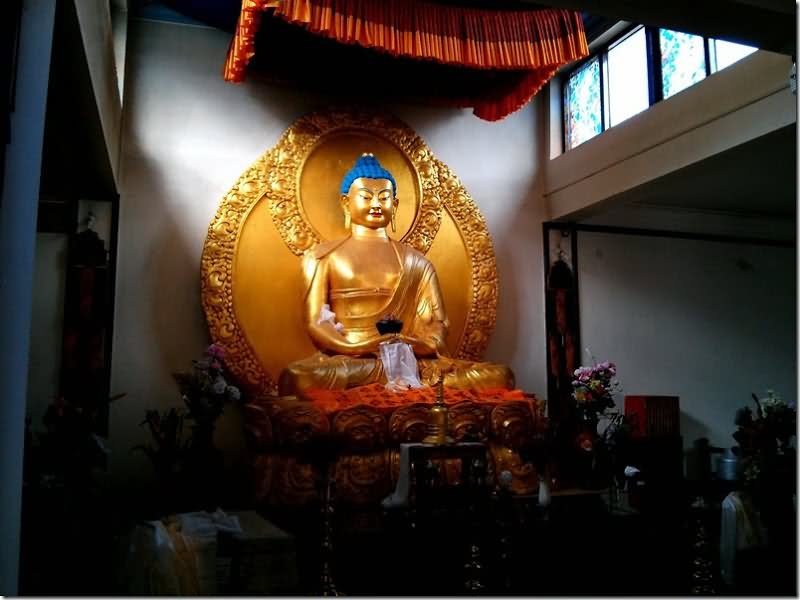 Beautiful Golden Statue Of Lord Buddha Inside The Shanti Stupa, Leh Ladakh