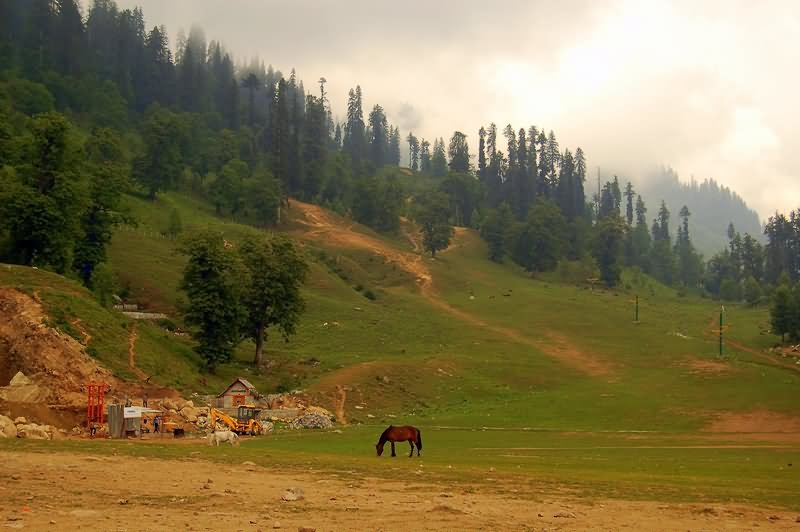 Incredible View Of Solang Valley, Manali During Summer