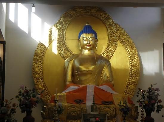 Lord Buddha Golden Statue Inside The Shanti Stupa