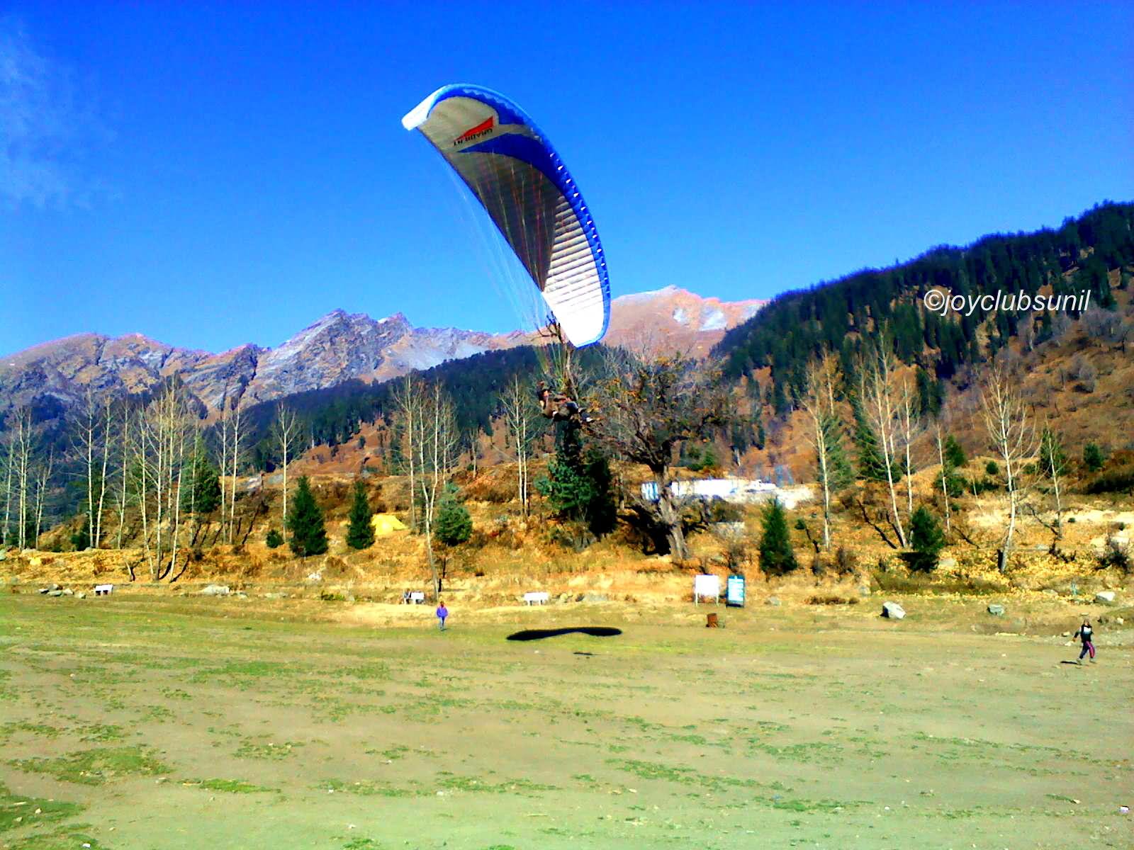 Paragliding At Solang Valley Picture