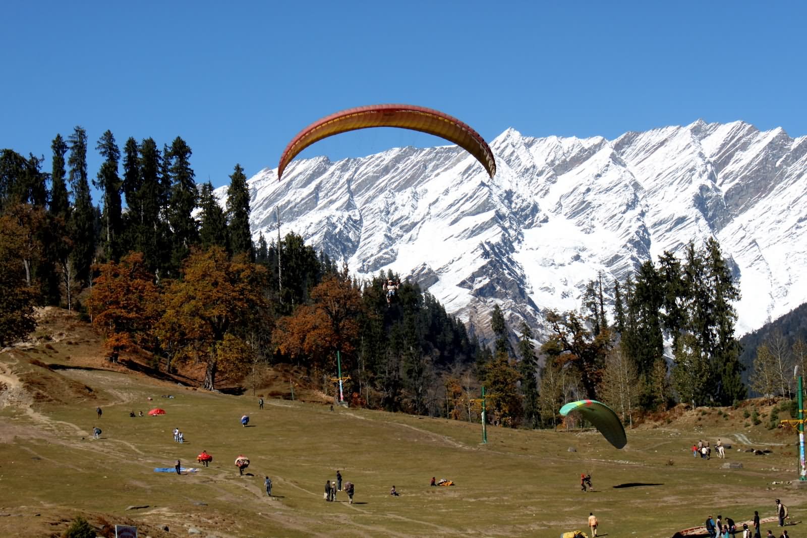 Paragliding At Solang Valley