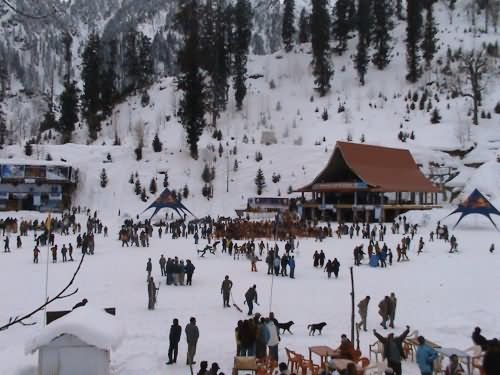 Skiing Tournament At Solang Valley