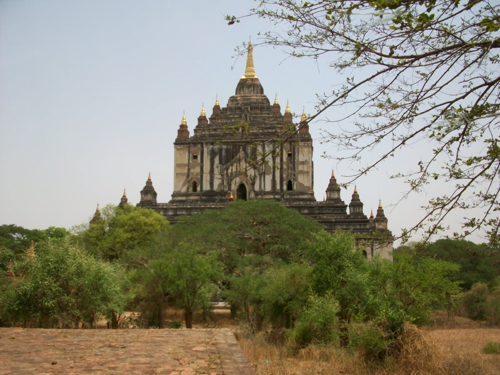 The Thatbyinnyu Temple In Bagan