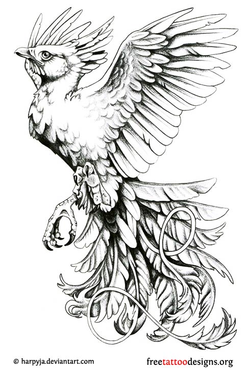 Amazing Flying Phoenix Tattoo Design By Lisa Pannek