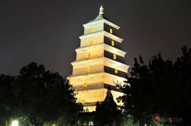 Giant Wild Goose Pagoda Illuminated At Night