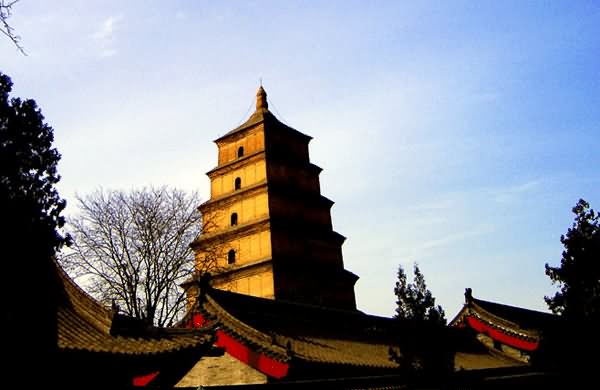 Giant Wild Goose Pagoda In China Picture