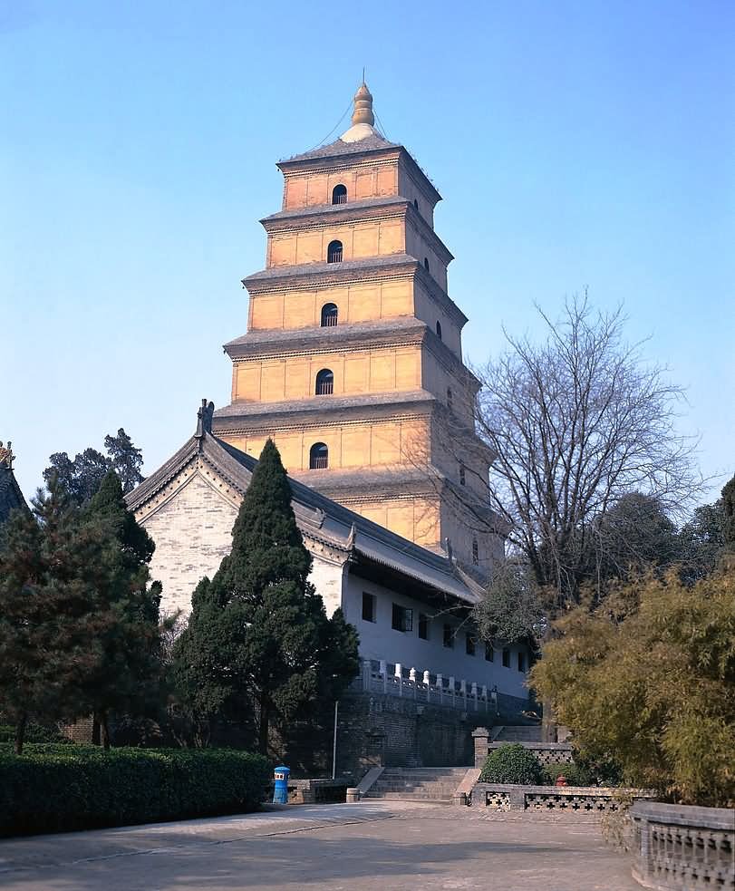 Giant Wild Goose Pagoda Picture