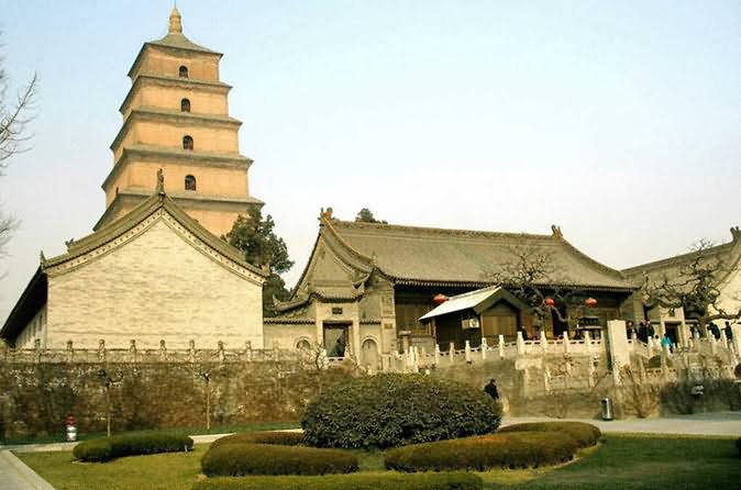 Giant Wild Goose Pagoda View From Garden