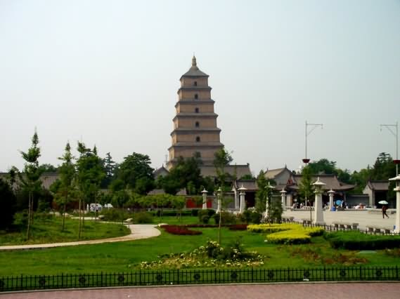 Giant Wild Goose Pagoda View