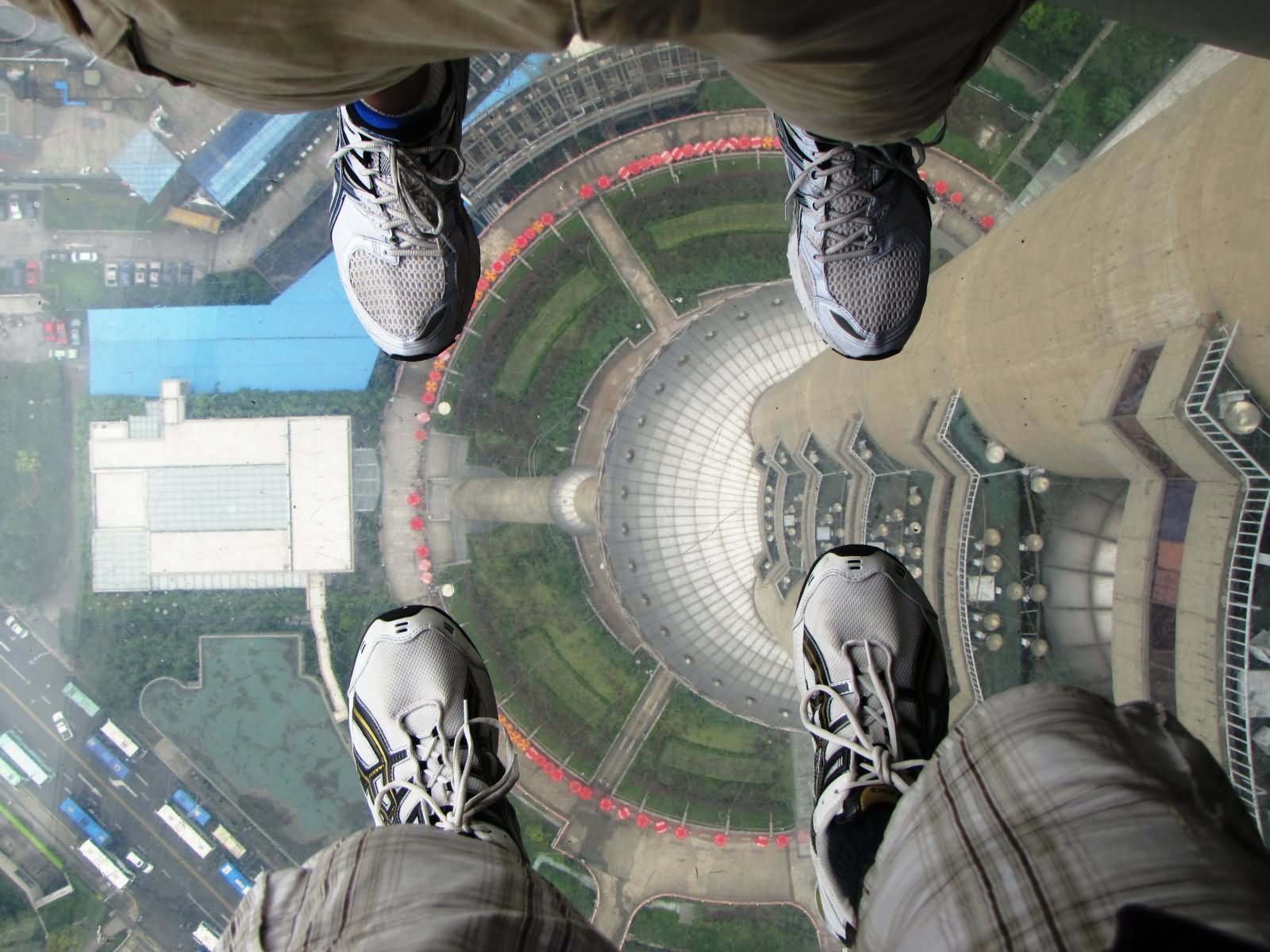 View From Oriental Pearl Tower Inside Picture