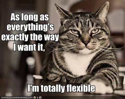 Totally Flexible Cat Funny Meme Picture For Whatsapp