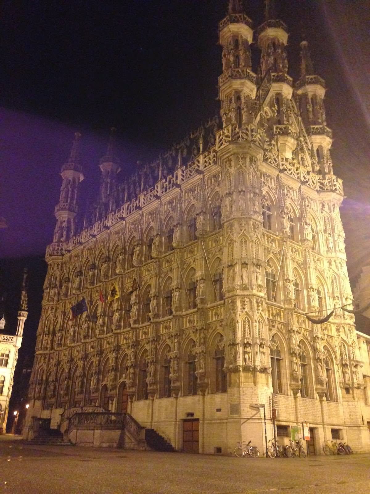 Adorable Night View Of The Leuven Town Hall At Night