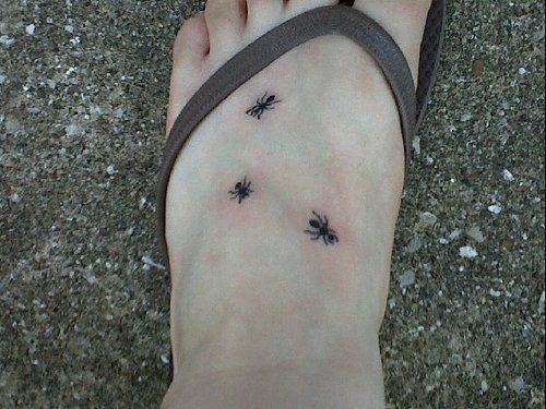 Black Ant Tattoos On Left Foot For Girls