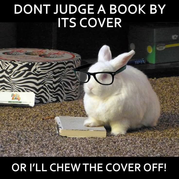 Dont Judge A Book By Its Cover Or I Will Chew The Cover Off Funny Bunny Meme Image