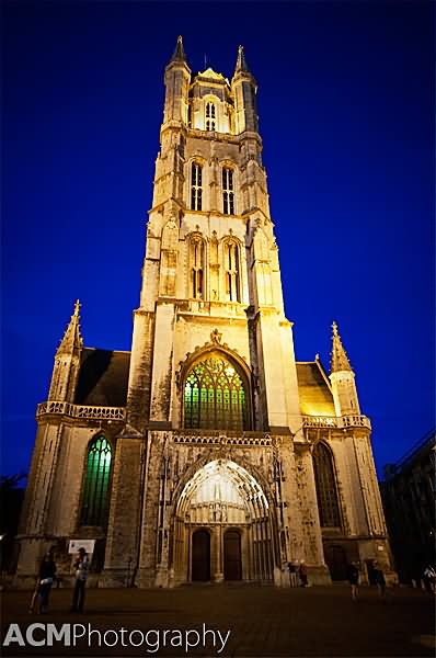 Front View Of The Saint Bavo Cathedral At Night