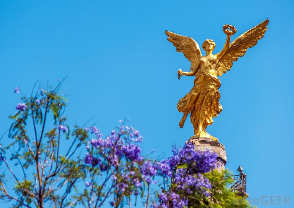 Golden Angel Of Independence Monument In Mexico City