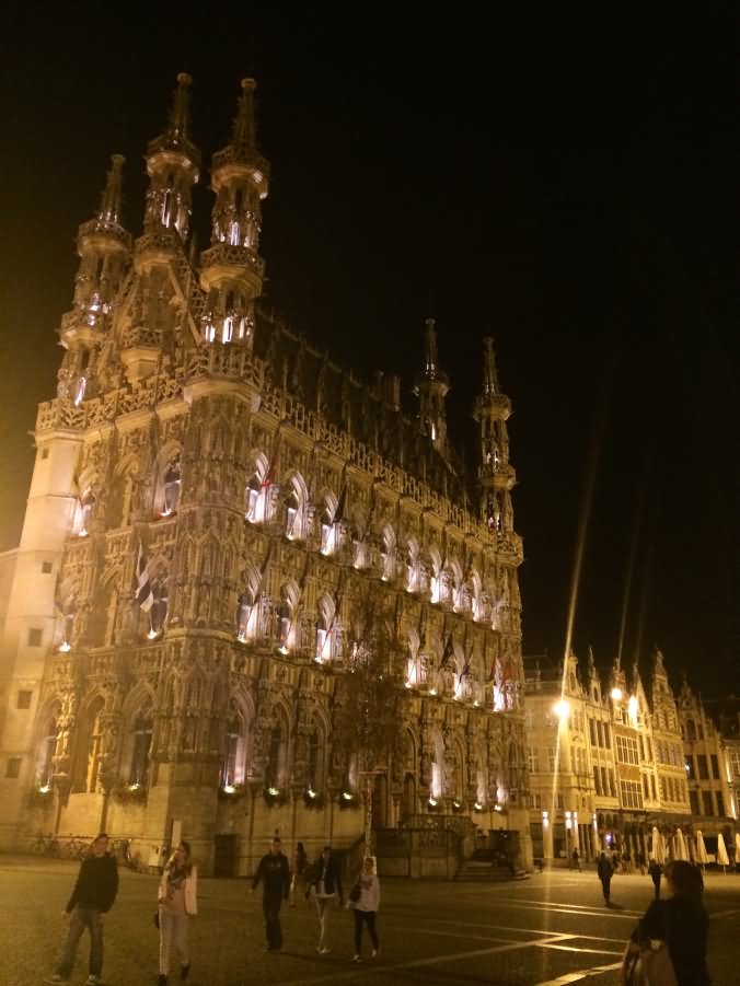 Leuven Town Hall Night Picture