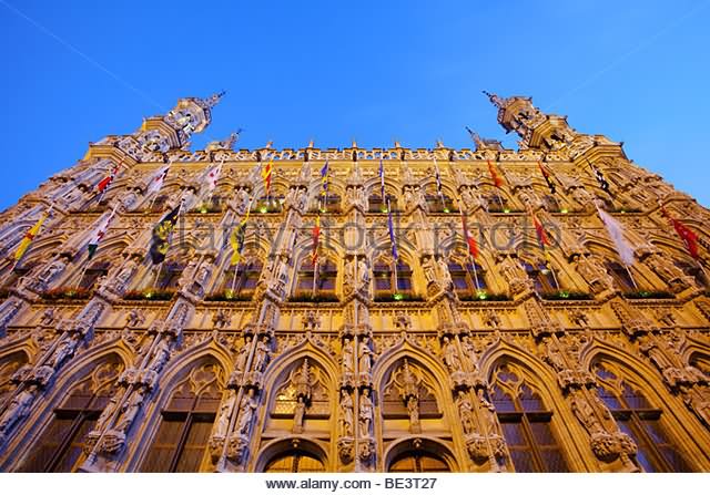 Leuven Town Hall View From Below At Night