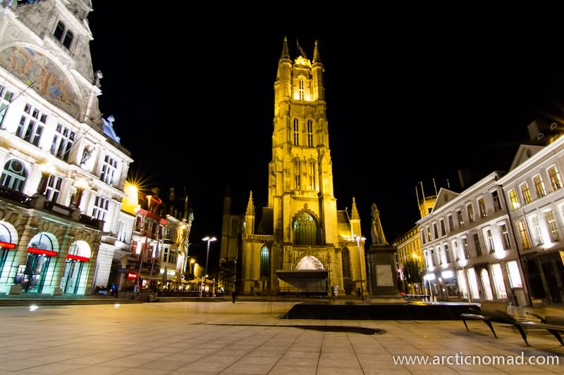 Saint Bavo Cathedral In Belgium At Night