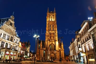 Saint Bavo Cathedral In Ghent, Belgium At Night