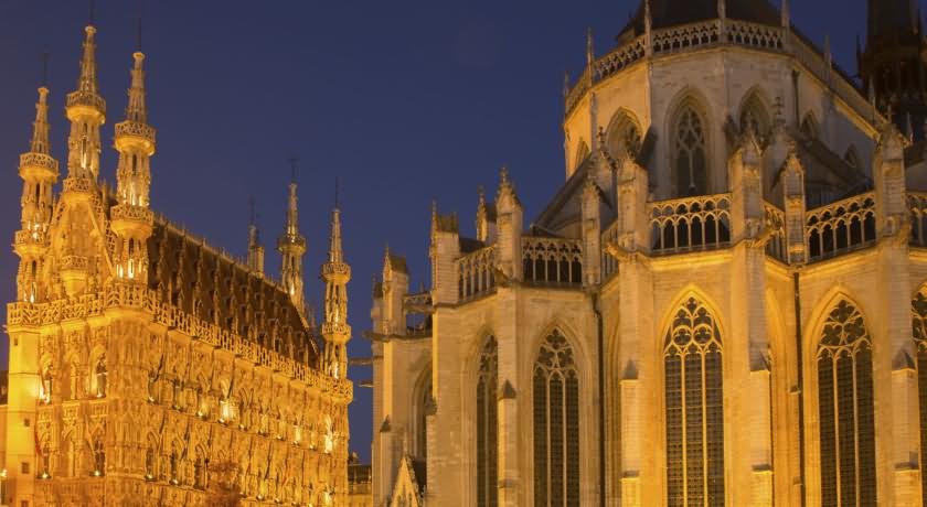 The Leuven Town Hall And St. Peter's Church At Night