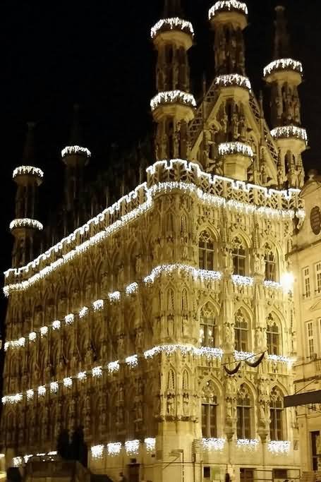 The Leuven Town Hall Lit Up At Night Beautiful Picture