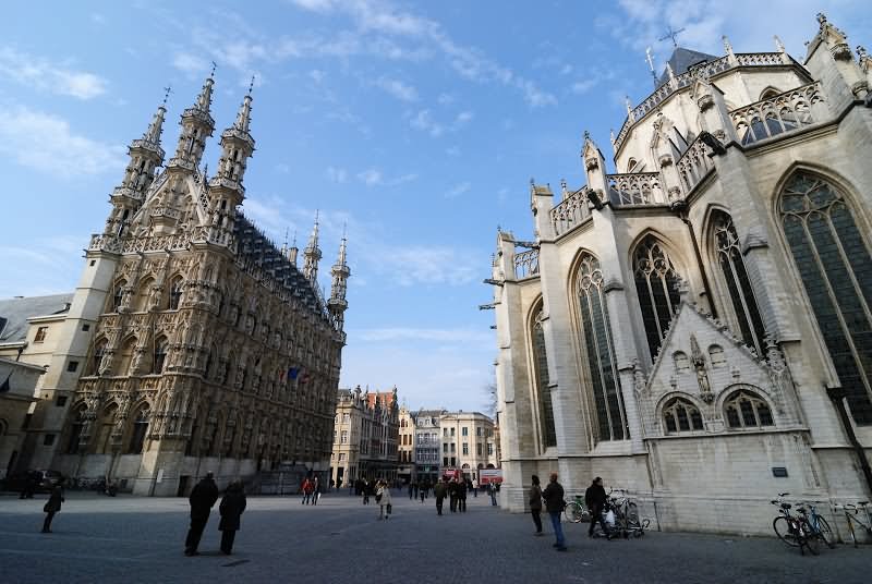 The Town Hall And St. Peter's Church Of Leuven, Belgium