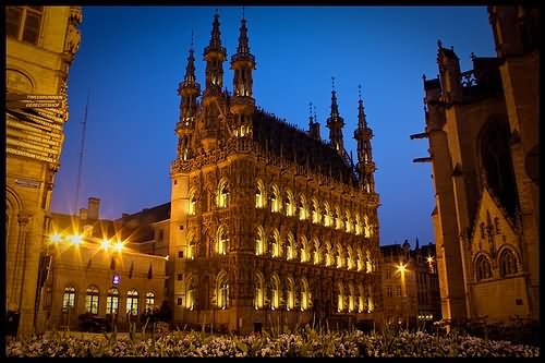 The Town Hall Of Leuven Illuminated At Night